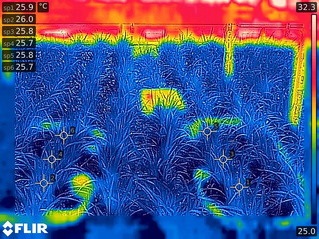 FLIR05-NC05_img_20180626_123353_406.jpg